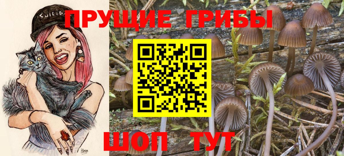 Галлюциногенные грибы GOLDEN TEACHER Полысаево