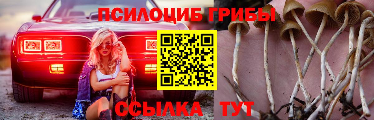 Псилоцибиновые грибы мухоморы  Галлюциногенные грибы Cubensis  Вход с VPN  Полысаево 